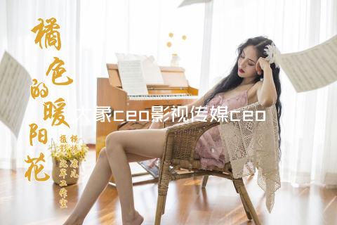 大象ceo影视传媒ceo